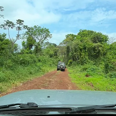 selva misionera, tierra guarani